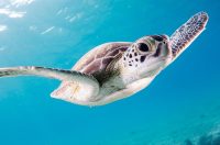 Busy life style on the united states all the time