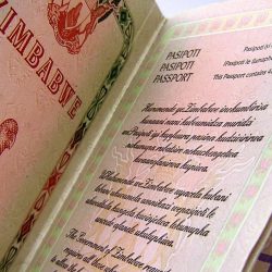 Mathema explains passports backlog