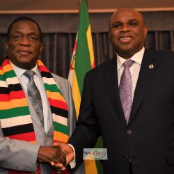 Afreximbank offers Zimbabwe fresh funding