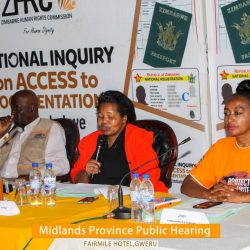 Gweru ward records 200 children without birth certificates