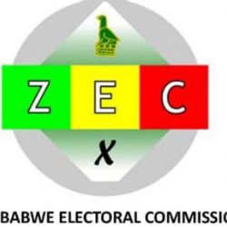 ZEC suspends all electoral activities