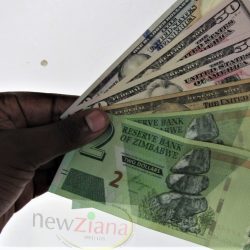 Zim to fully de-dollarise in five years – RBZ