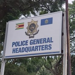 Activists nabbed for incitement