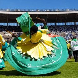 Home grown solutions key to national development – Pres Mnangagwa