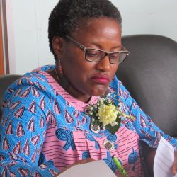 AfCFTA poses no revenue risk – Zimra