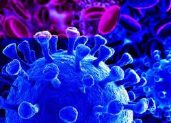 Two succumb to Covid-19