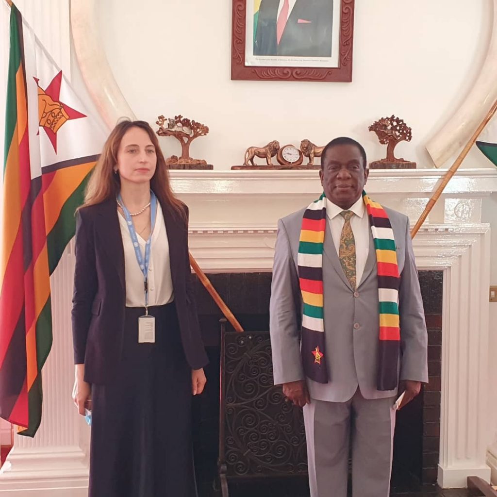 Country Rapporteur Lift Zim sanctions, UN rapporteur tells West – New Ziana