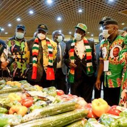 Zanu PF creates space for youths in Central Committee