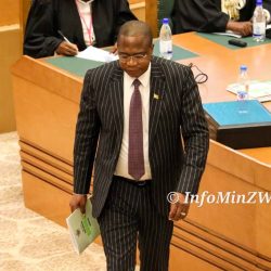 Treasury sets 2024 National Budget cap of ZW$47 trillion- Ncube