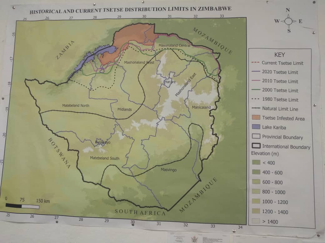 Zimbabwe deploys drones in tsetse fly battle