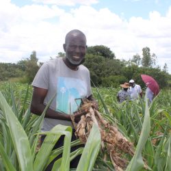 Feature -Livestock Production Systems Transforming smallholder livestock keepers in Zimbabwe