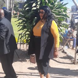 Mashonaland Central Nomination Court Proceedings