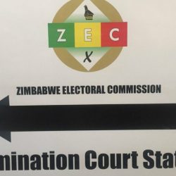Matebeleland South Nomination Court Proceedings