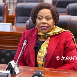 Zim intensifying efforts to make women-run SMES competitive in AfCTA