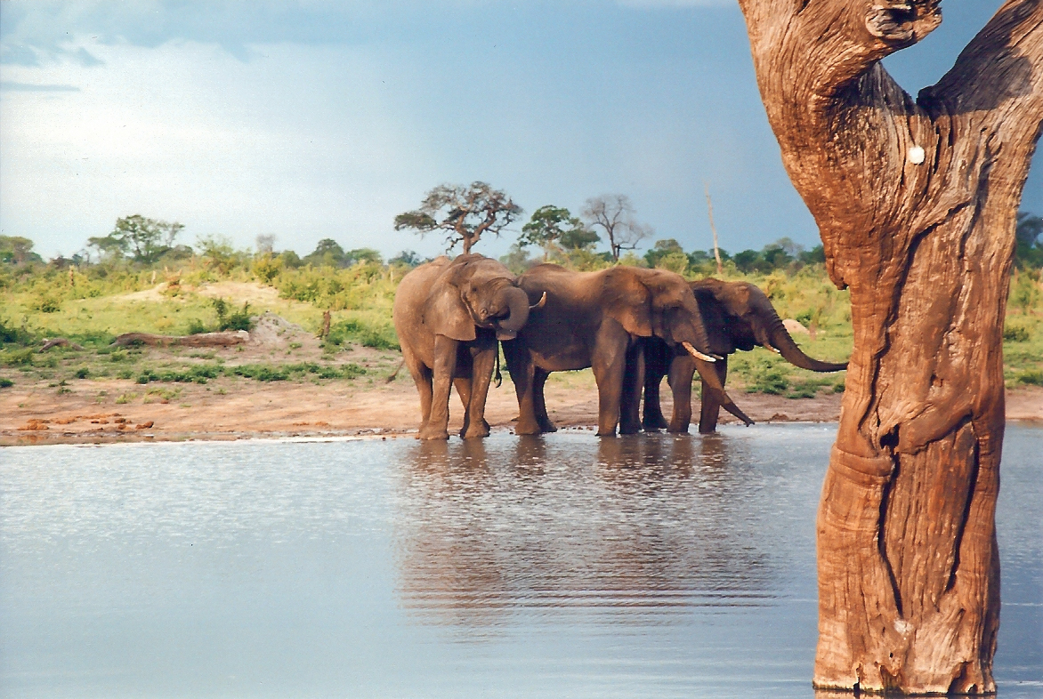 Hwange National Park Entrance revamped.