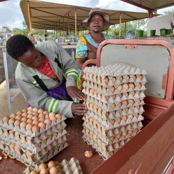 Former inmates receive poultry starter packs