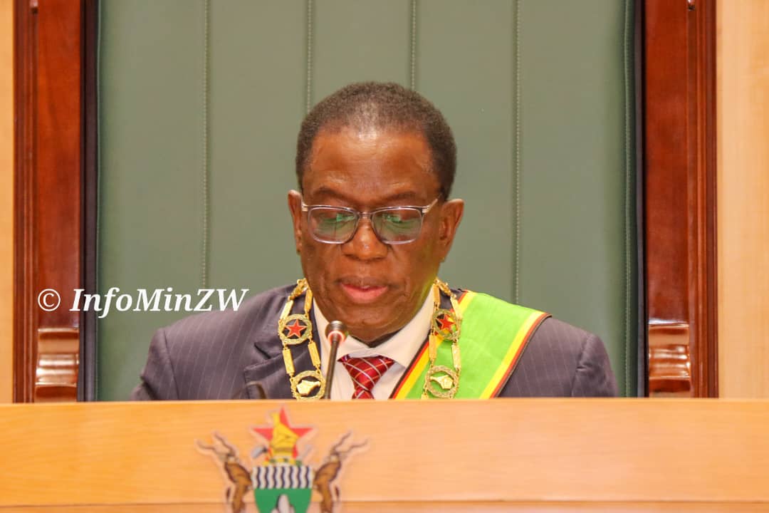 President Mnangagwa welcomes Zimbabwe’s election into UNSC