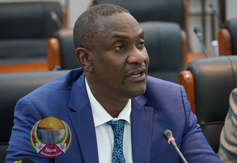 Kwekwe Council Projects on point