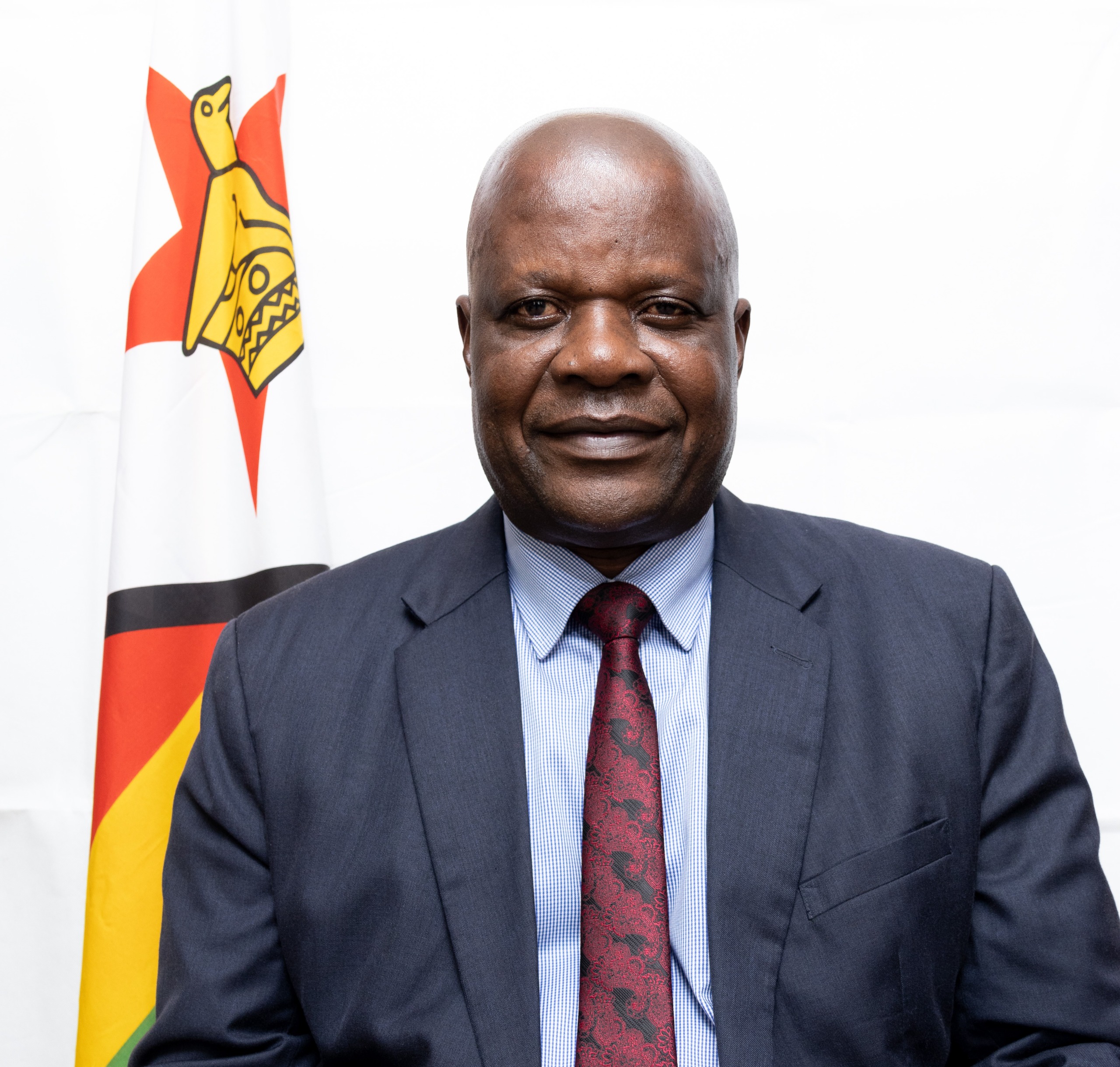 More Zim couples adopting and fostering children, over 600 in foster care