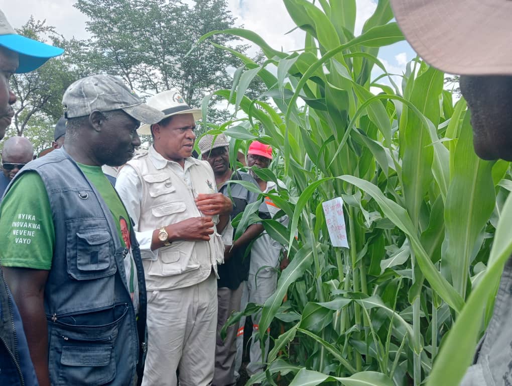 Minister applauds sorghum production in Mat North