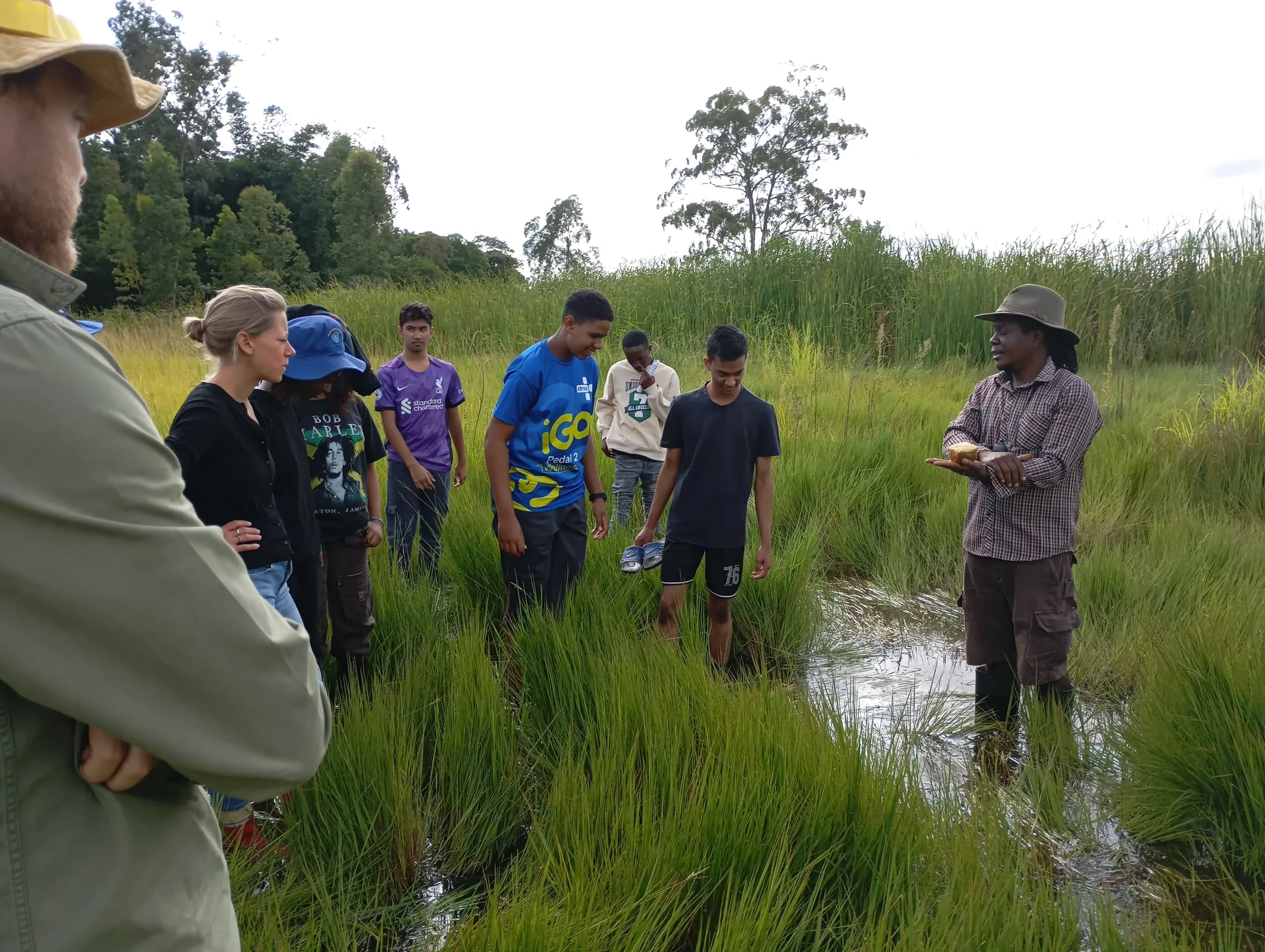 Concerted Efforts to Save Zimbabwe’s ‘Dying’ Wetlands