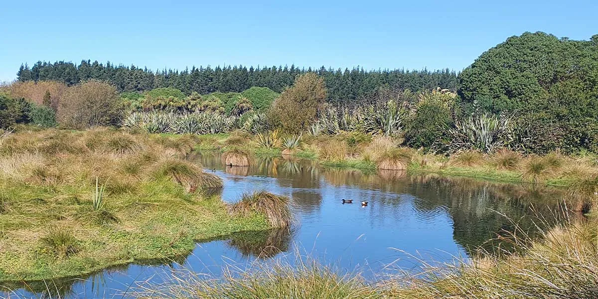 Traditional Leaders Praised