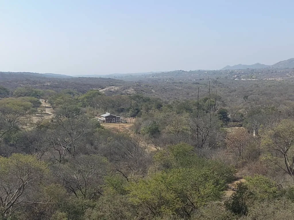 Bulawayo City Council to plant 10 Million trees