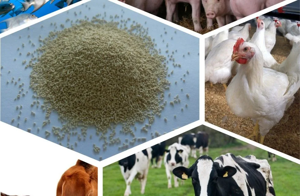 Farmers urged to prepare livestock feed ahead of dry season