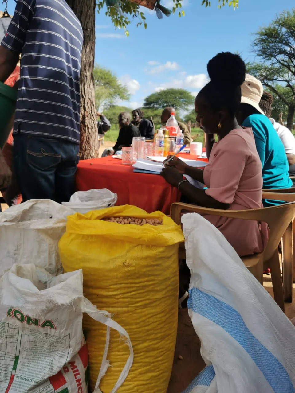 Matobo and Mangwe women turn indigenous seeds into gold, exporting to Germany