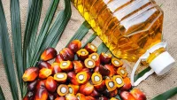 Palm oil trade strengthens Malaysia-Nigeria relations
