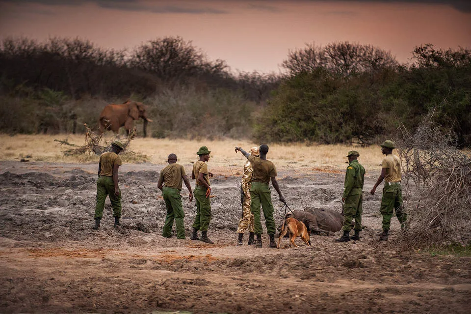 African wildlife rangers honoured