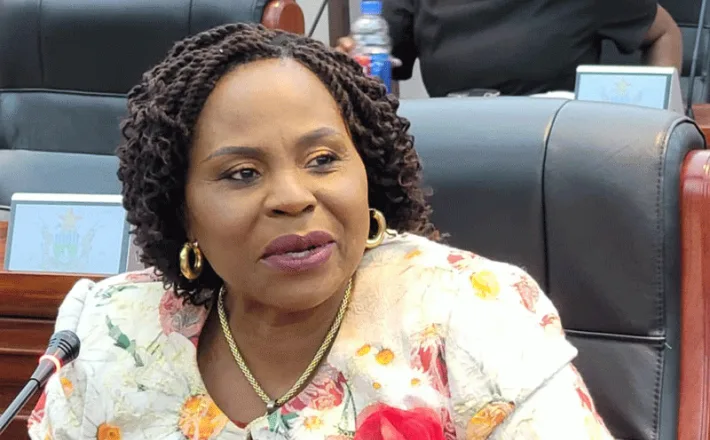 SMEs Crucial for Rural Development In Zimbabwe