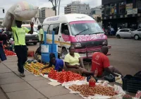 Zimbabwe’s Informal Economy:  A Nut yet to be Cracked