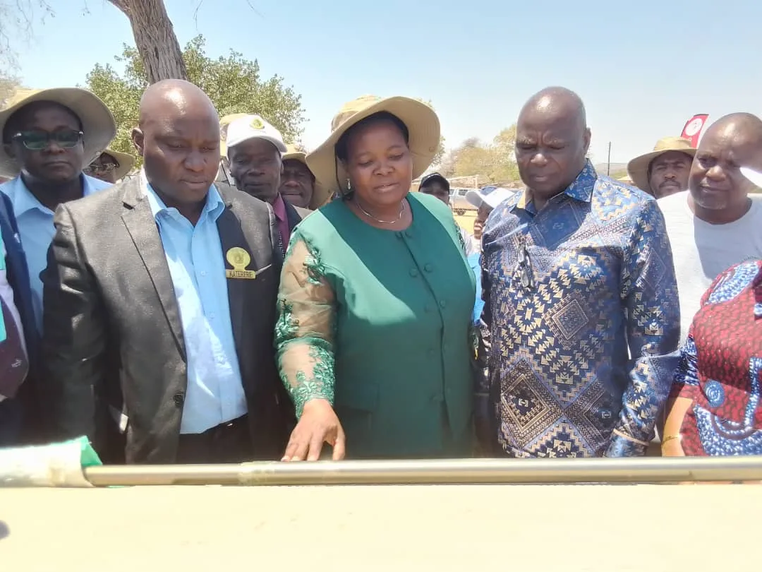 Nyanga villagers celebrate electrification