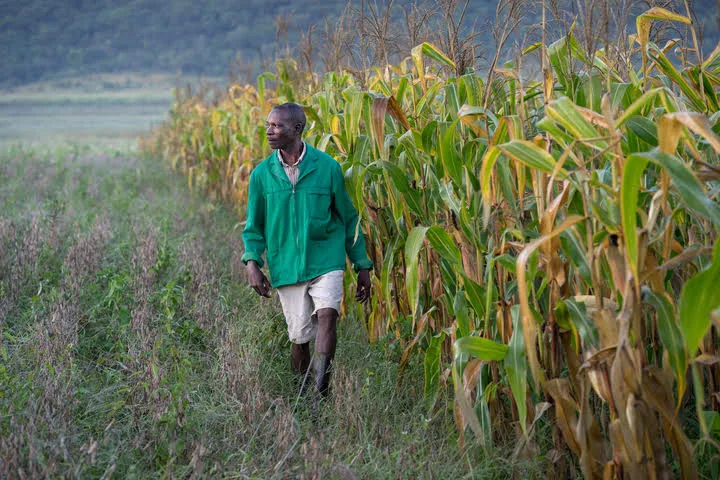 Experts map ways to feed world without destroying environment