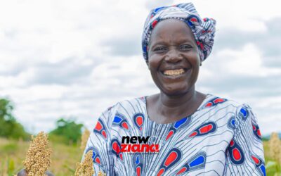 Rushinga smallholder farmers take lead in Conservation Agriculture