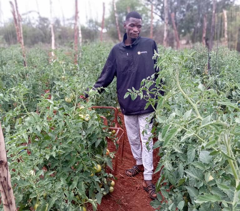 Young farmer mints millions from US$1,894 grant