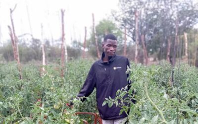 Young farmer mints millions from US$1,894 grant