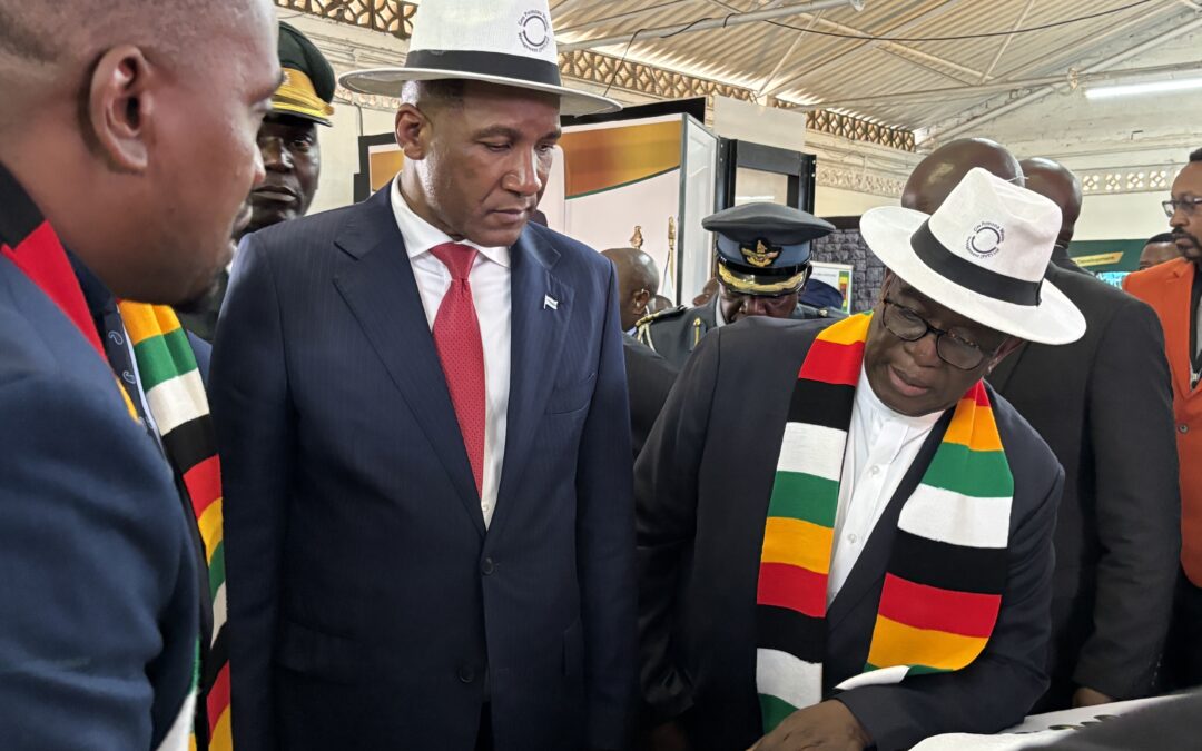 Africa should increase intra-trade – President Boko