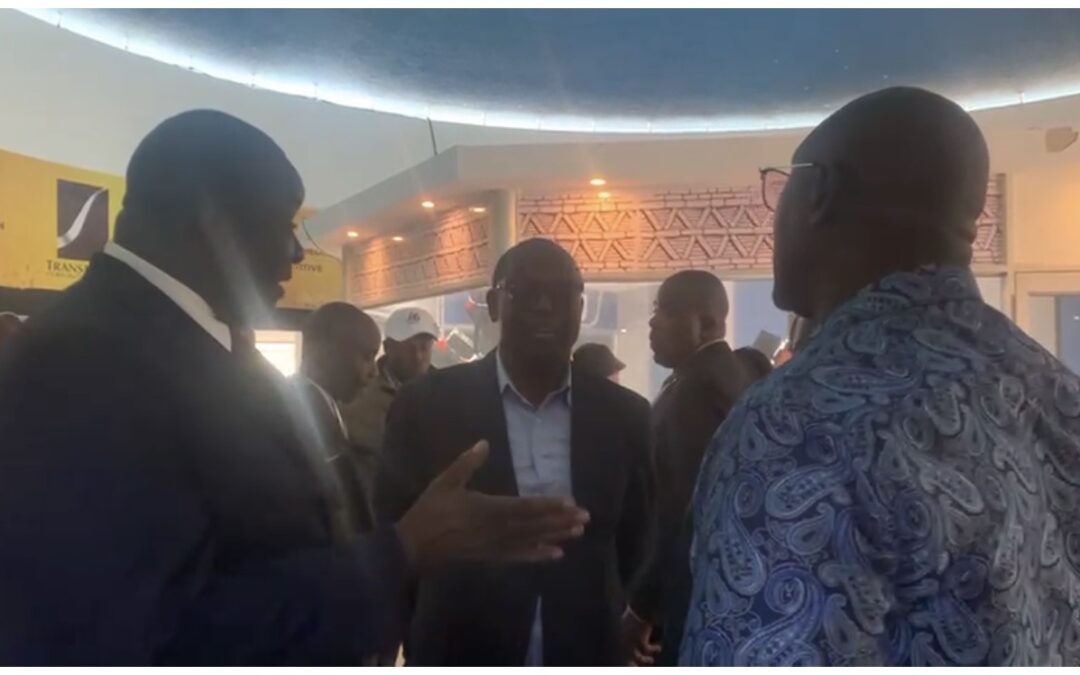 New Ziana Hailed For Digital Drive