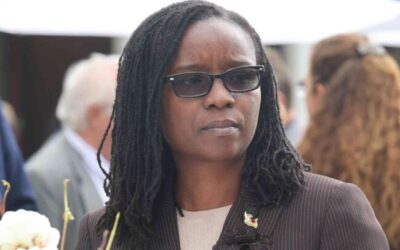 Zimbabwe courts UNSC non-permanent seat backing with high-level diplomatic tour