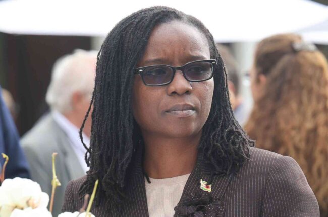 Zimbabwe courts UNSC non-permanent seat backing with high-level diplomatic tour