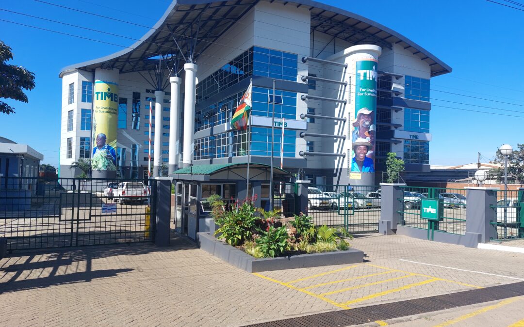 48 contractors register under TIMB compliance framework for 2025/26 season