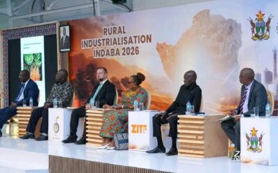 Chadzamira Attends Rural Industrialisation Indaba at ZITF