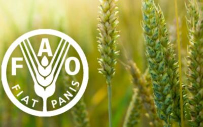 FAO launches Zambezi basin climate resilience and development initiative