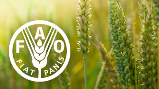 FAO launches Zambezi basin climate resilience and development initiative