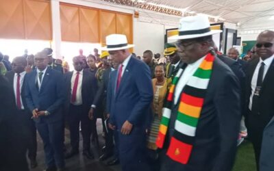 Zimbabwe, Botswana to Introduce ID-Based Border Travel