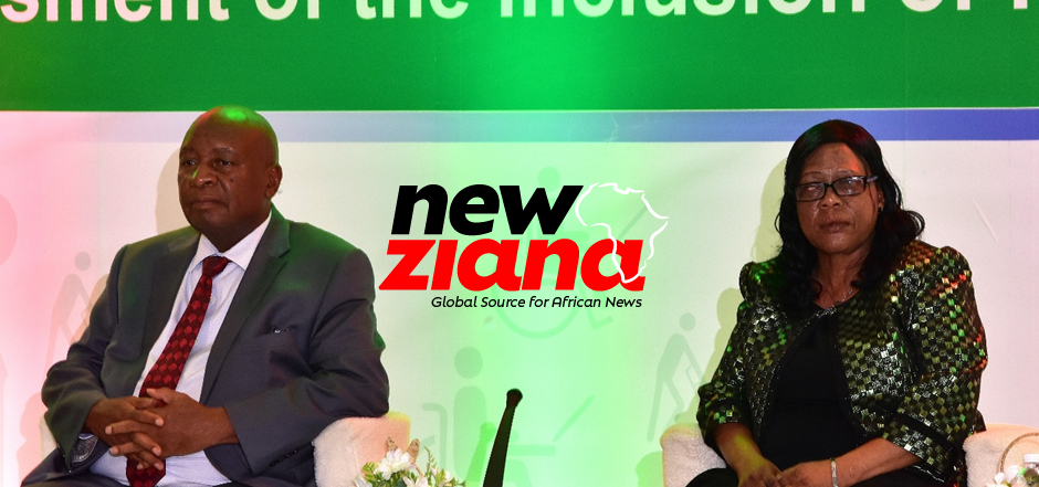 Zimbabwe Urges Stronger Disability Inclusion