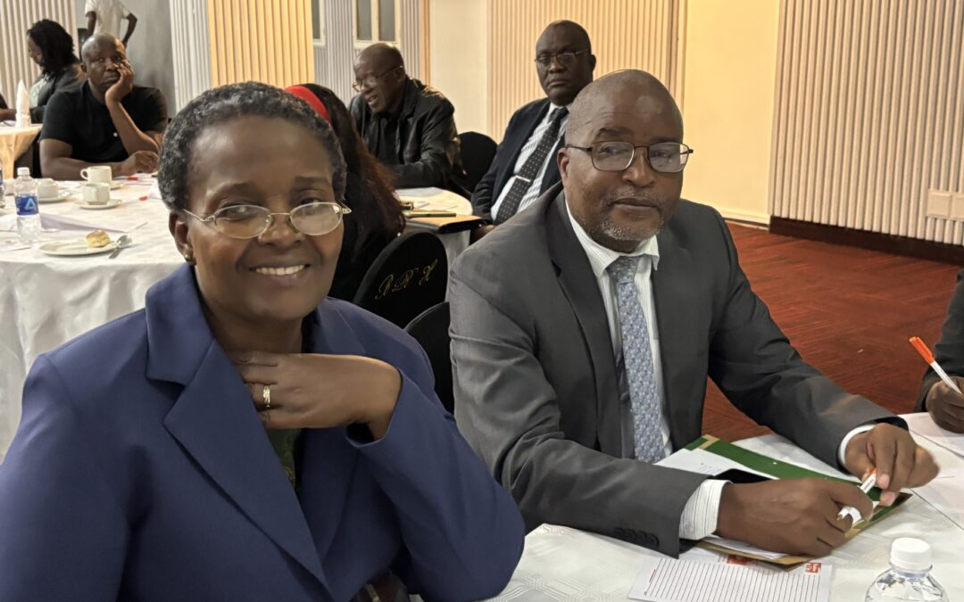 Zimbabwe shifts focus to mineral value addition