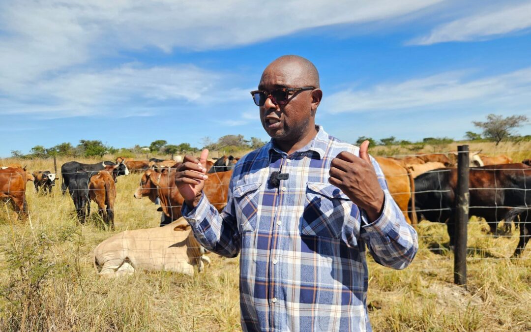 Zimbabwe intensifies wetlands protection